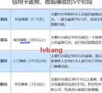 逾期信用卡记录处理策略：如何消除不良信用影响？