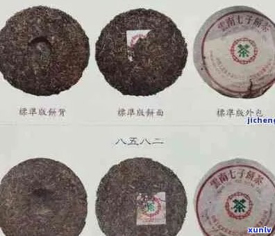 '99年有什么普洱茶':1999年的普洱茶、品种和价格大全