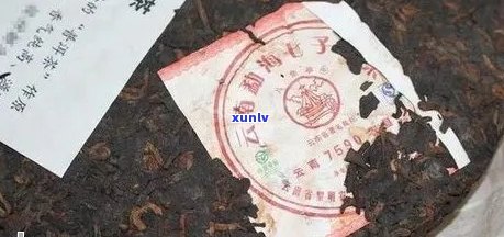 '99年有什么普洱茶':1999年的普洱茶、品种和价格大全