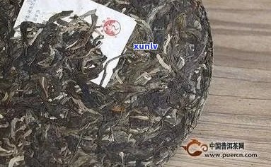 小白菜普洱茶的原料