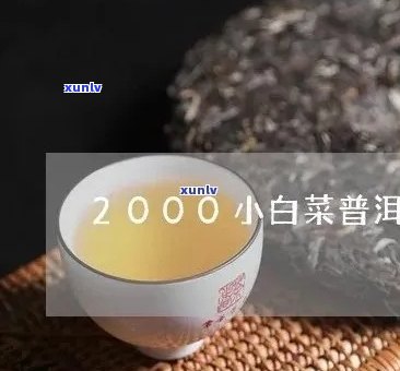 小白菜普洱生茶的由来和价格，喝过的人觉得好喝吗？