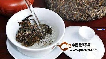 儿饮用生普洱茶的适宜次数与注意事项：家长必看