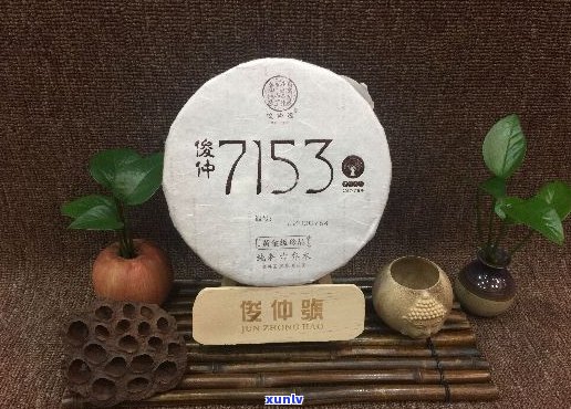 俊仲号普洱茶双十一