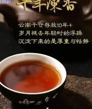 岁月沉淀的味道：老同志的珍贵普洱茶之旅