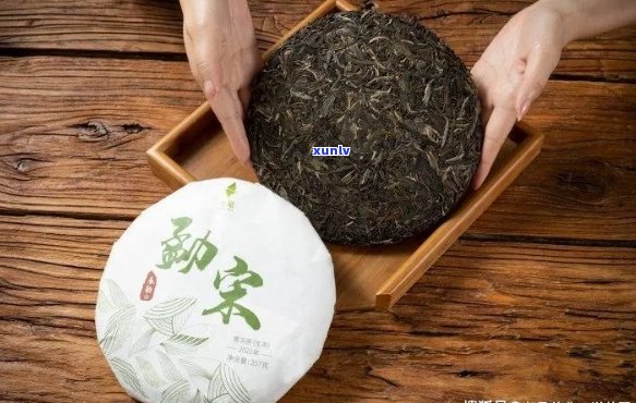 普洱茶博字饼全解析：了解特点、 *** 工艺和品饮 *** 