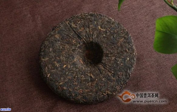 普洱茶博字饼全解析：了解特点、 *** 工艺和品饮 *** 