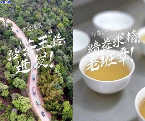 2023年13年班章普洱茶市场价格分析：影响力与保存状况的影响