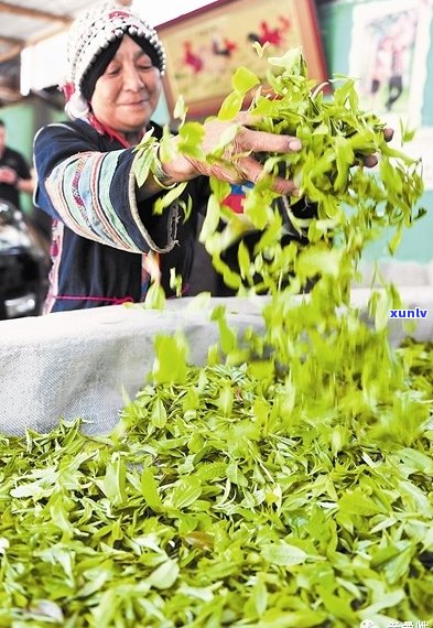 帕沙普洱茶香气特点与口感介绍