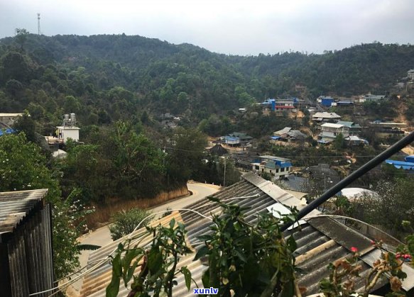 帕沙普洱茶的产地及特点：了解这个茶区，让你更全面了解帕沙普洱茶