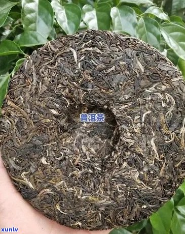 十年以上的老班章普洱茶饼价格：生饼、价格表、多少钱一饼