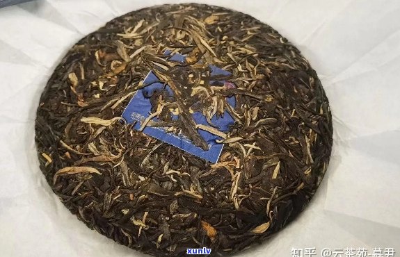 文华普洱茶怎么样