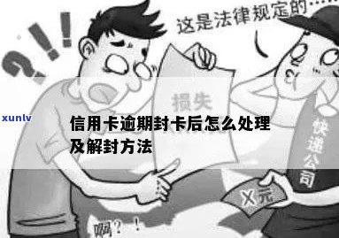 逾期信用卡账户的解封策略：详细步骤与重要提示