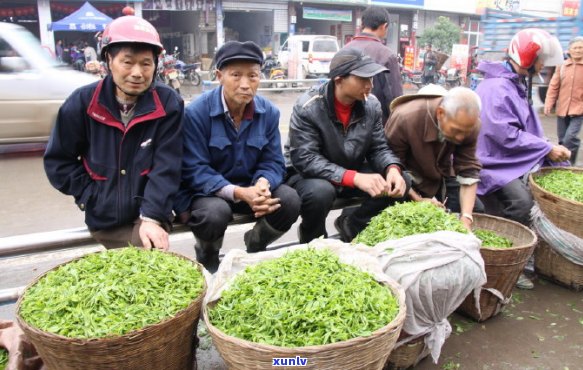 '州有几个茶叶市场地址汇总'