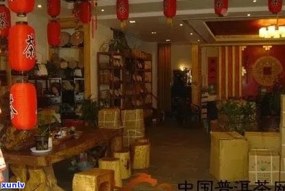 福州熟普洱茶连锁店有哪些：福州知名与店铺汇总