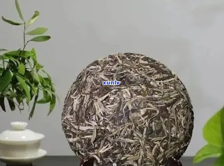 云南普洱茶：品味千年传承的独特茶叶魅力