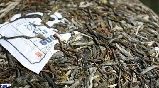 云南普洱茶：品味千年传承的独特茶叶魅力