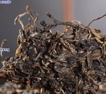 普洱茶陈化过程及其对茶叶品质和价值的影响：老普洱茶真的更有价值吗？