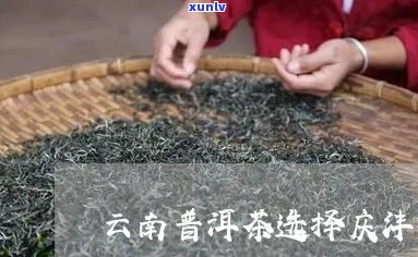 云南普洱茶庆丰祥：品鉴优质茶叶，了解产地文化与 *** 工艺