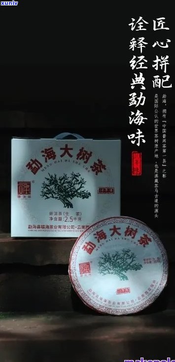 兴堂勐大树普洱茶