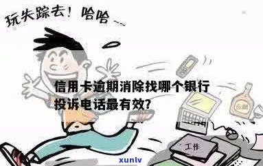 欠信用卡不还怎么举报：有效途径与 *** ，揭露老行为