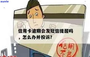 欠信用卡逾期怎么投诉