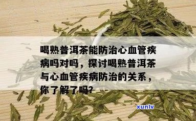 心脑血管疾病患者喝生普洱茶的好处及注意事项