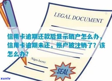 未逾期信用卡被注销了怎么办？