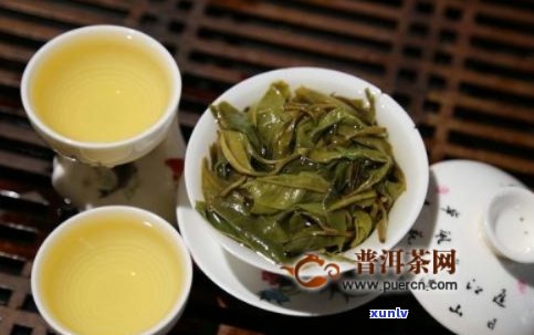 生加普洱茶能喝吗