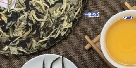 生加普洱茶能喝吗