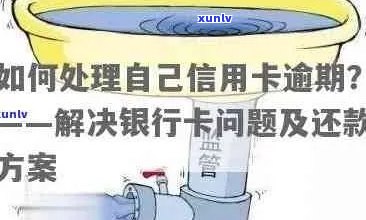 山县信用卡逾期问题解决方案：了解原因、应对策略及如何规划还款计划