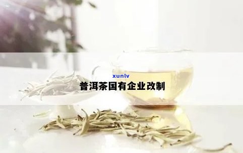 '做普洱茶的国有企业：有哪些？'