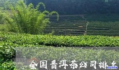 做普洱茶的国有企业