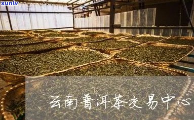 昆明普洱茶场与收藏鉴定研究院位置及优质推荐