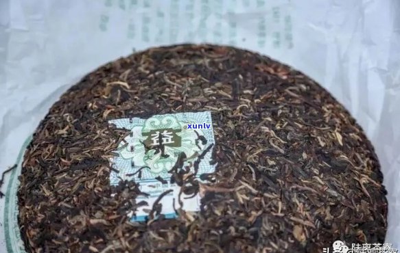 昆明普洱茶打假：5亿真相揭秘，大益涉案，最新动态曝光