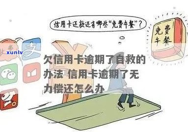 欠信用卡没能力还-欠信用卡没能力还怎么办