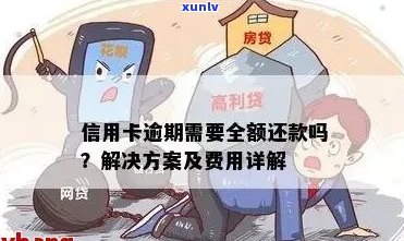 逾期信用卡还不了全款