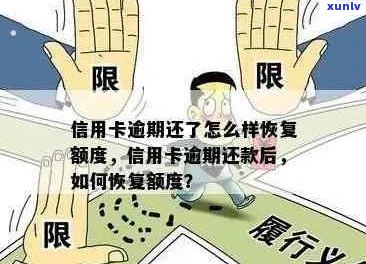 逾期信用卡额度怎么提：提高 *** 与后续处理指南