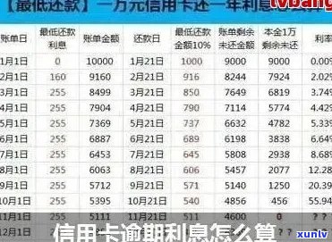 每年信用卡逾期未还款的利息计算方式及其影响