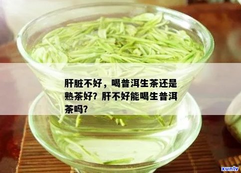 肝不好能喝普洱茶么