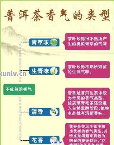 哪款普洱茶口感香甜？ - 全面解析普洱茶的香气和甜度，为您推荐选择