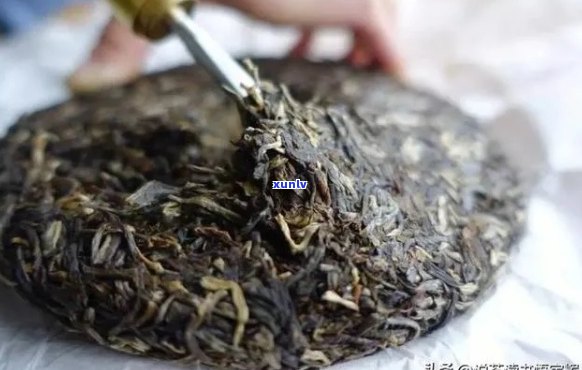 普洱茶生饼：究竟是绿茶还是黄茶？解答你所关心的一切疑问