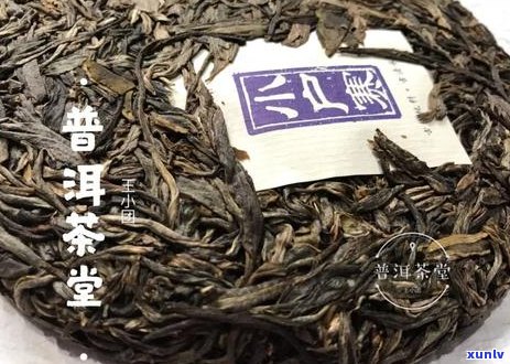 普洱茶生饼是绿茶吗