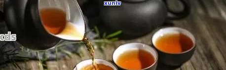 普洱茶不适合喝什么茶类及人群，普洱茶搭配禁忌解析