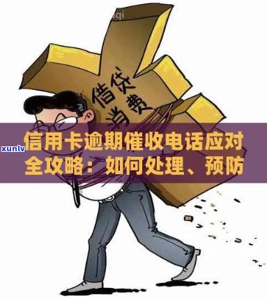 信用卡逾期还款指南：如何应对 *** 、解决逾期问题及降低影响