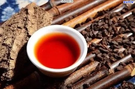 普洱茶适宜与禁忌人群：了解哪些人不适合喝普洱茶以避免潜在的健风险