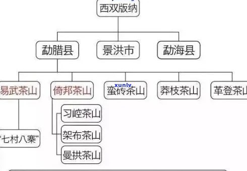 普洱茶名山大全：了解各大产区的特色与品质