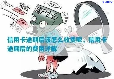 收到信息说信用卡逾期真的吗？如何处理？