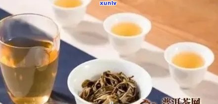 普洱茶适合多大年喝：不同年龄的普洱茶饮用建议