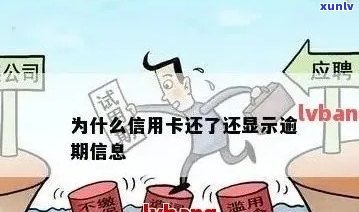 '按时还信用卡为什么显示逾期：原因与解答'