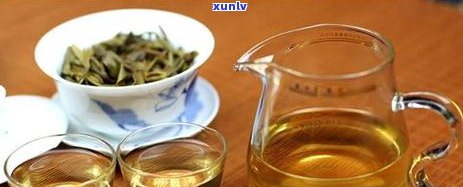 普洱茶梗茶：品种、功效、冲泡与品鉴，一篇全面了解的文章